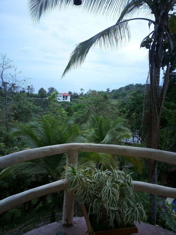 View from Hotel