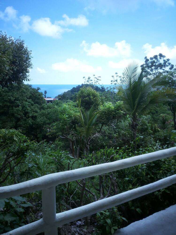 View from Hotel