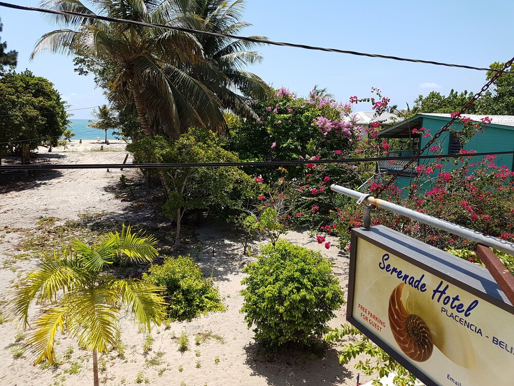 Beach/Ocean View