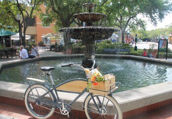 Fountain