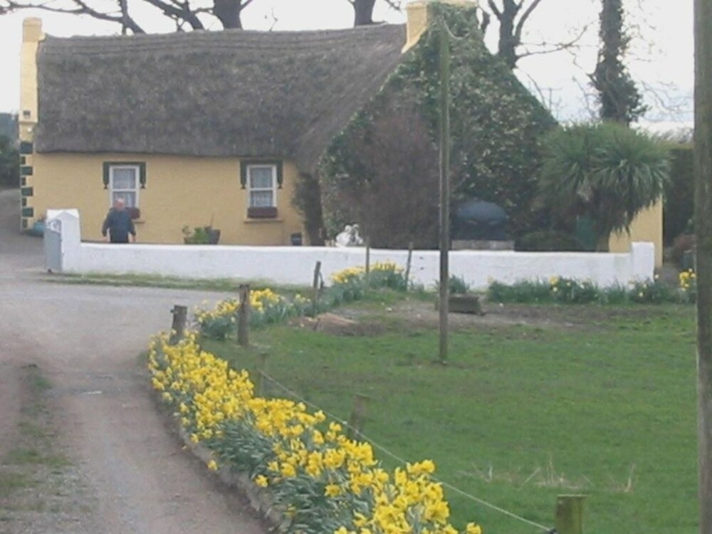 Land View from Property