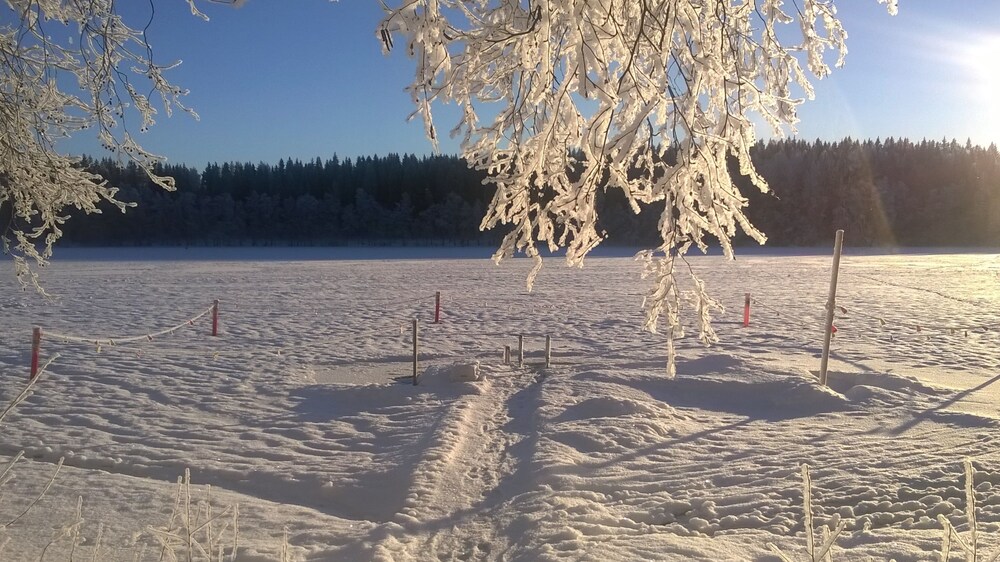 Järvi