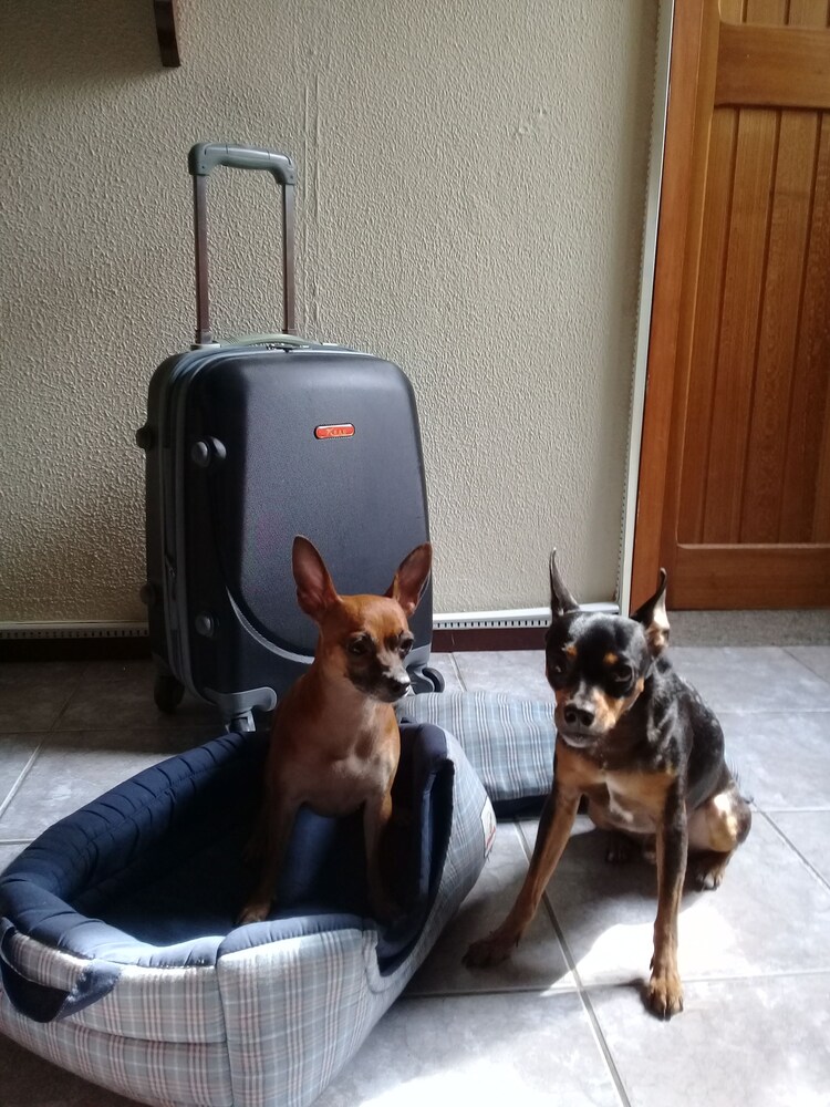 Aceita animais de estimação