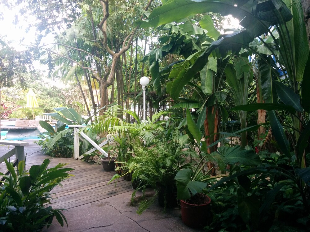 Jardim