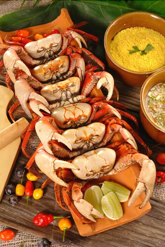 Alimentação e bebida