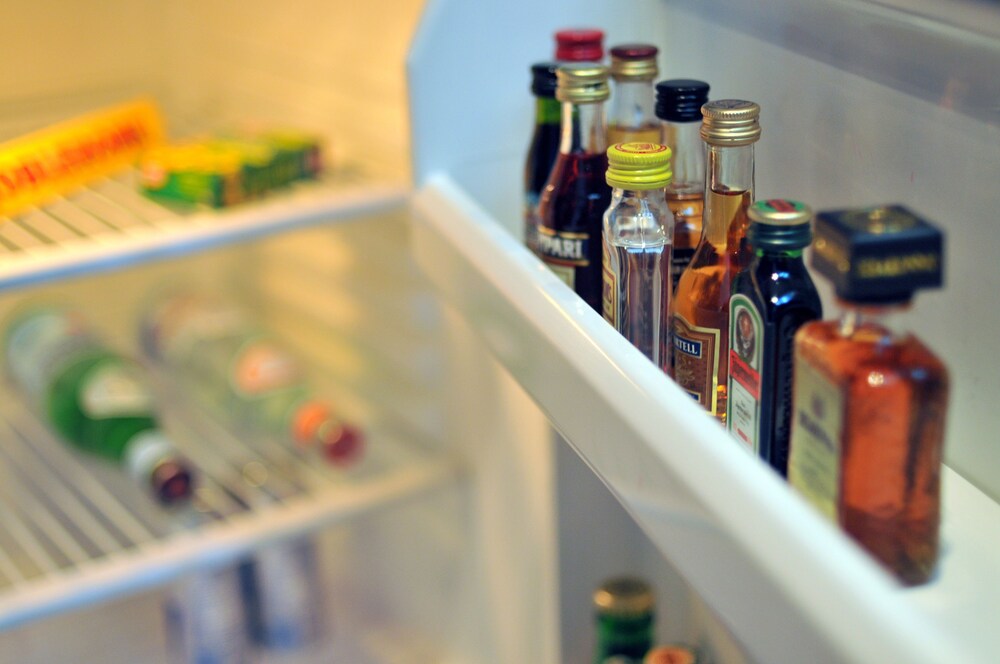 Mini-Refrigerator