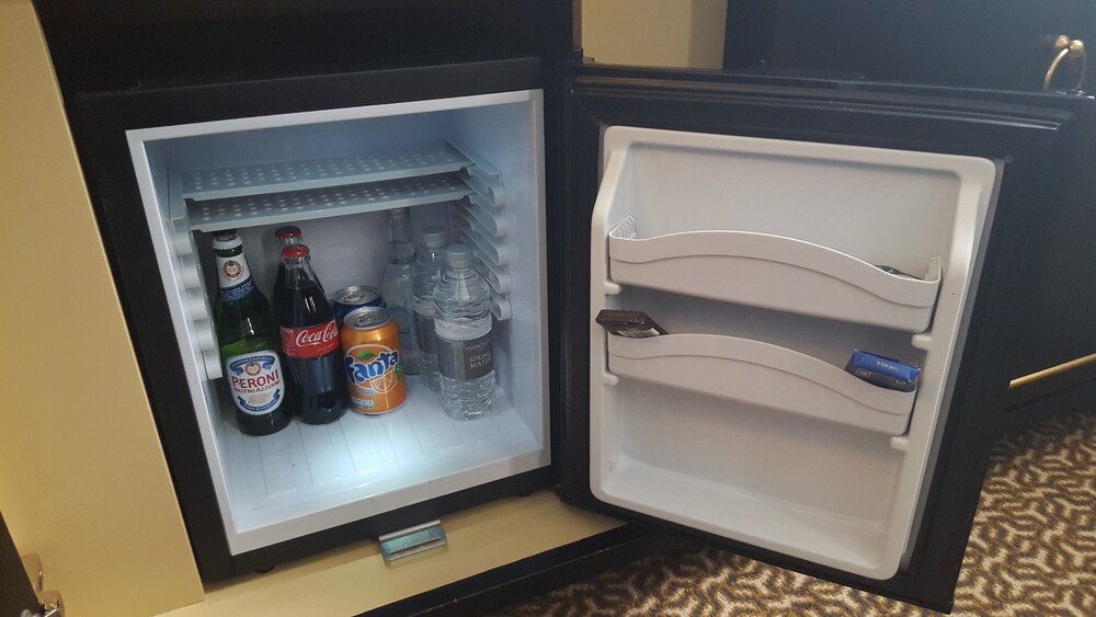 Mini-Refrigerator