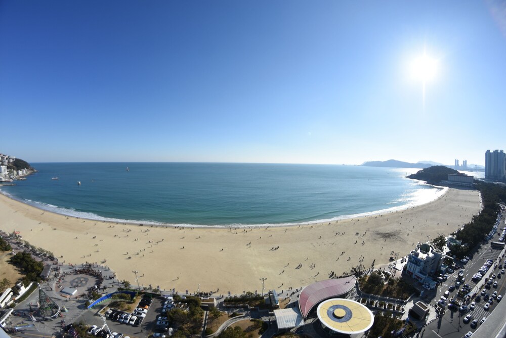 Beach/Ocean View