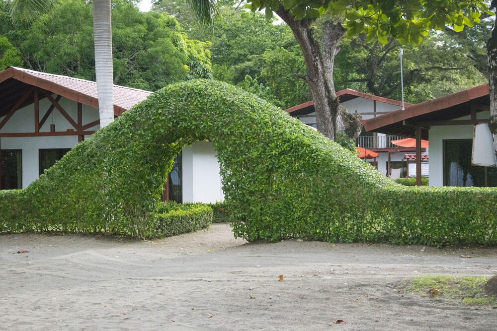 정원