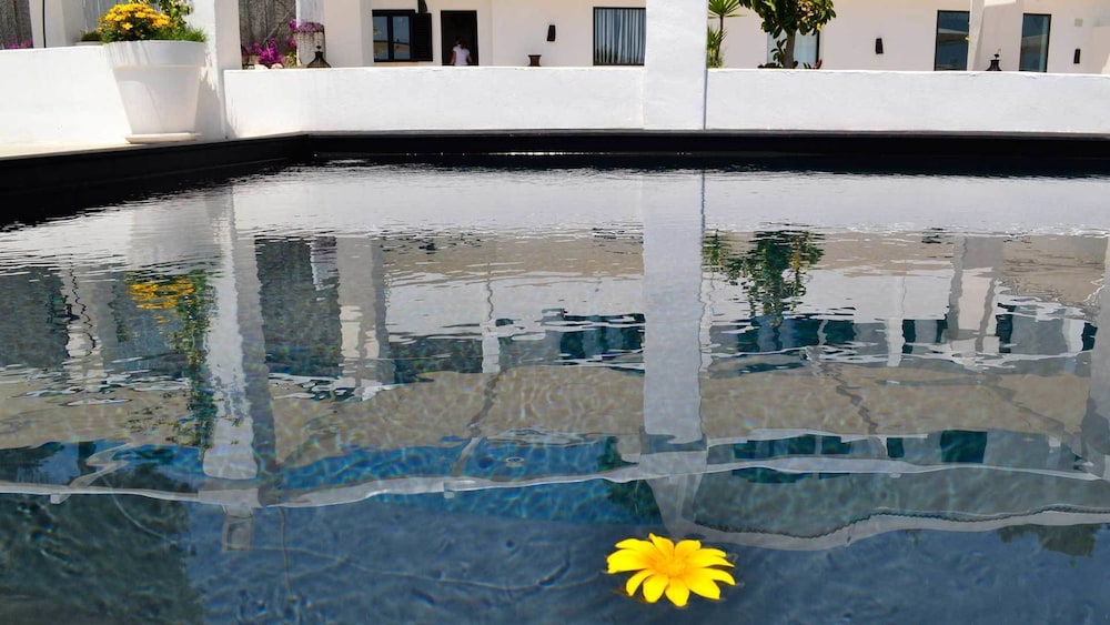Rooftop Pool