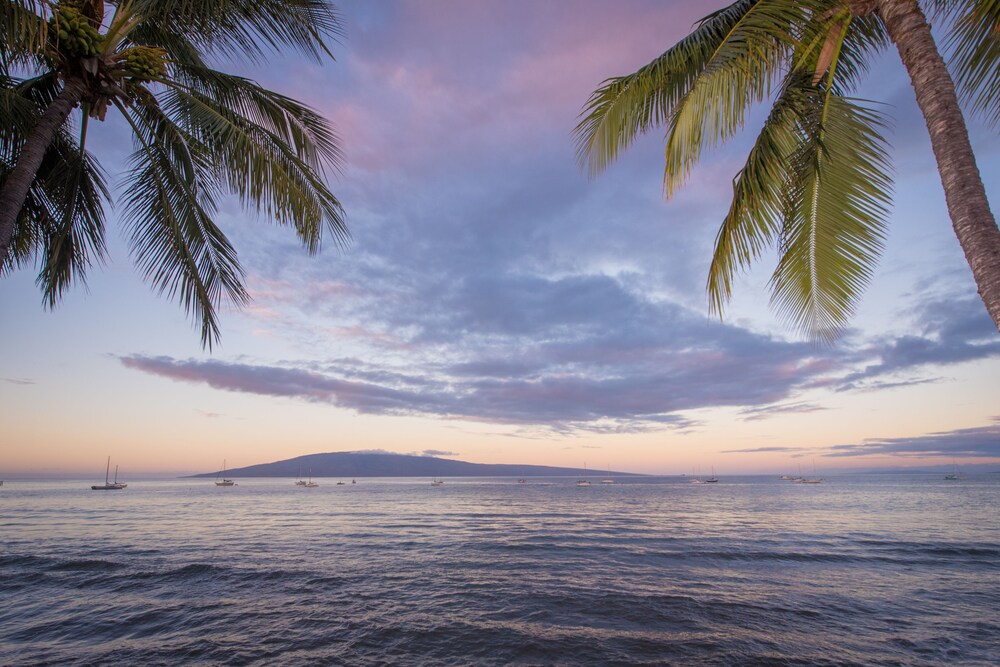 Beach/Ocean View
