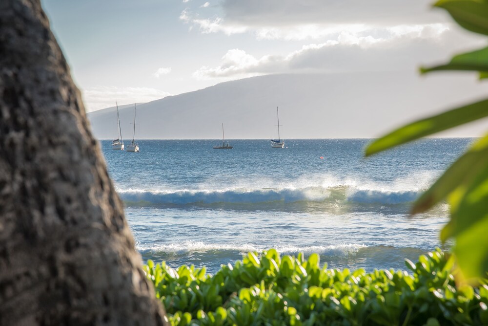 Beach/Ocean View
