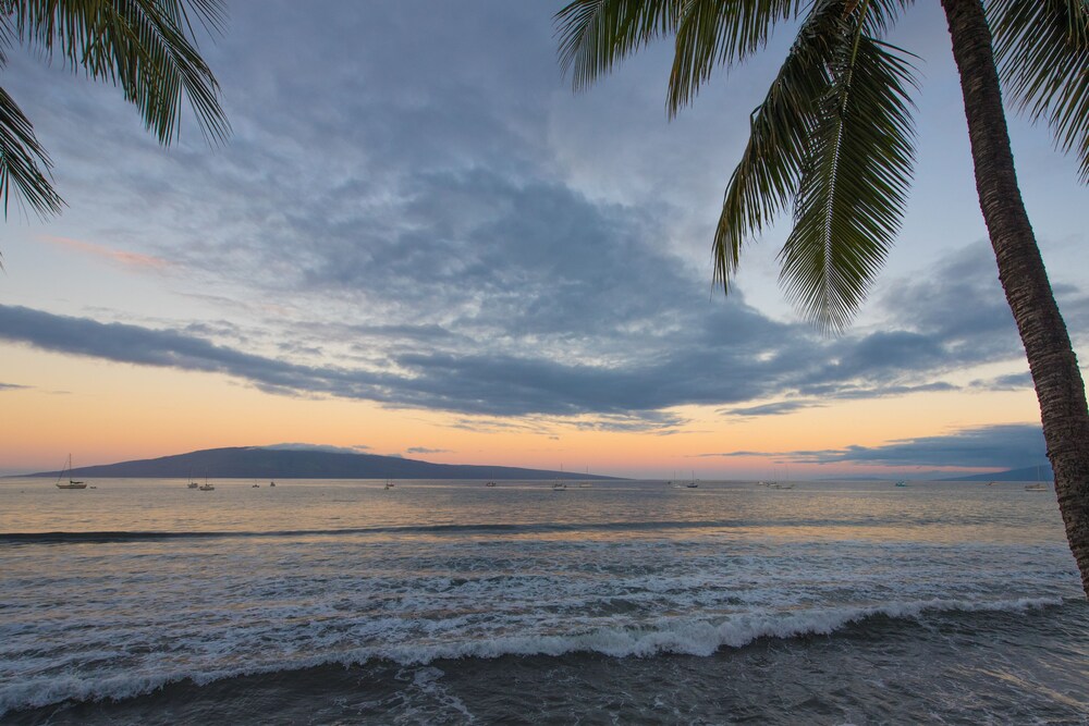 Beach/Ocean View