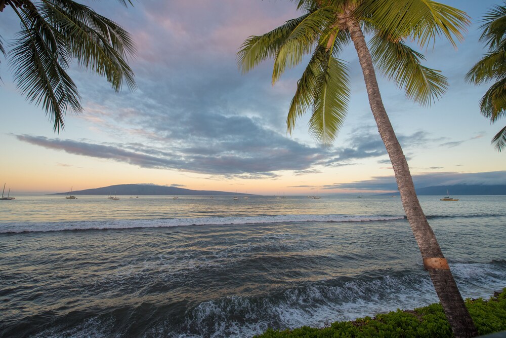 Beach/Ocean View