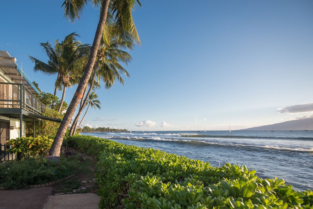 Beach/Ocean View