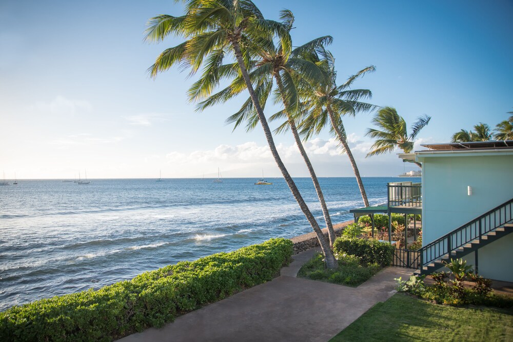 Beach/Ocean View