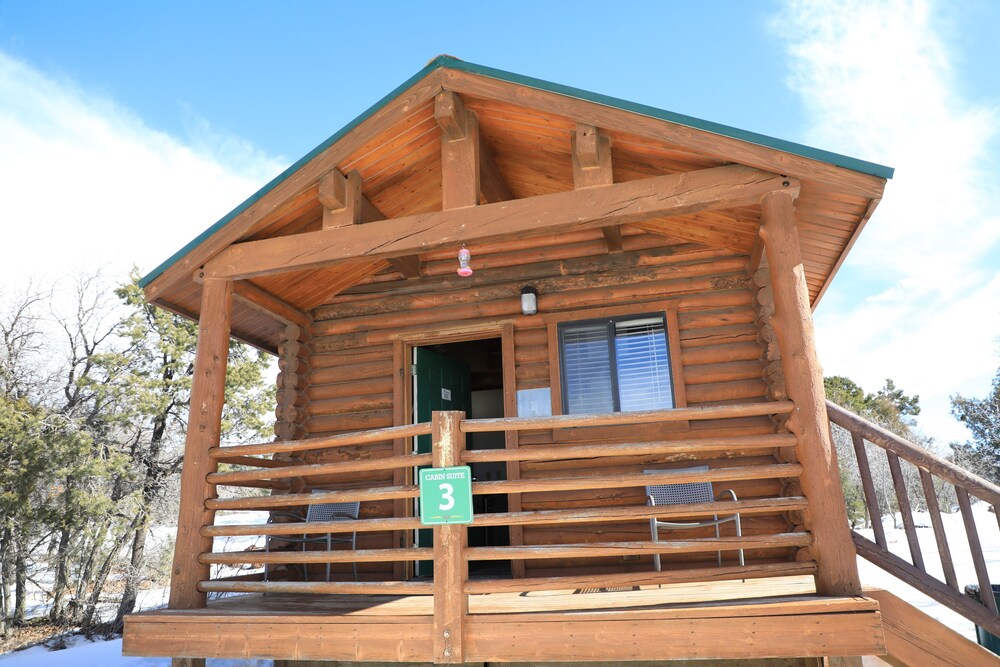 Cabin suite (Queen Bunk) - Room