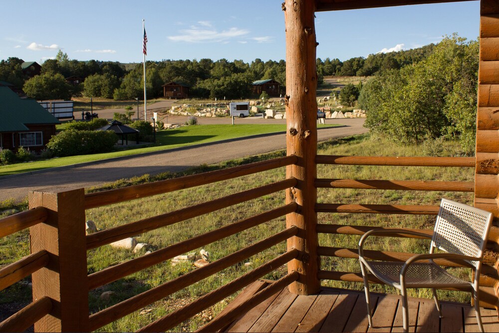 Cabin Suite - Terrace/Patio