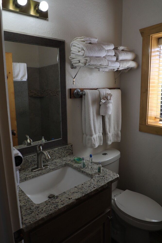 Cabin suite (Queen Bunk) - Bathroom