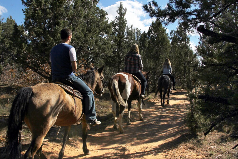 Horse Riding