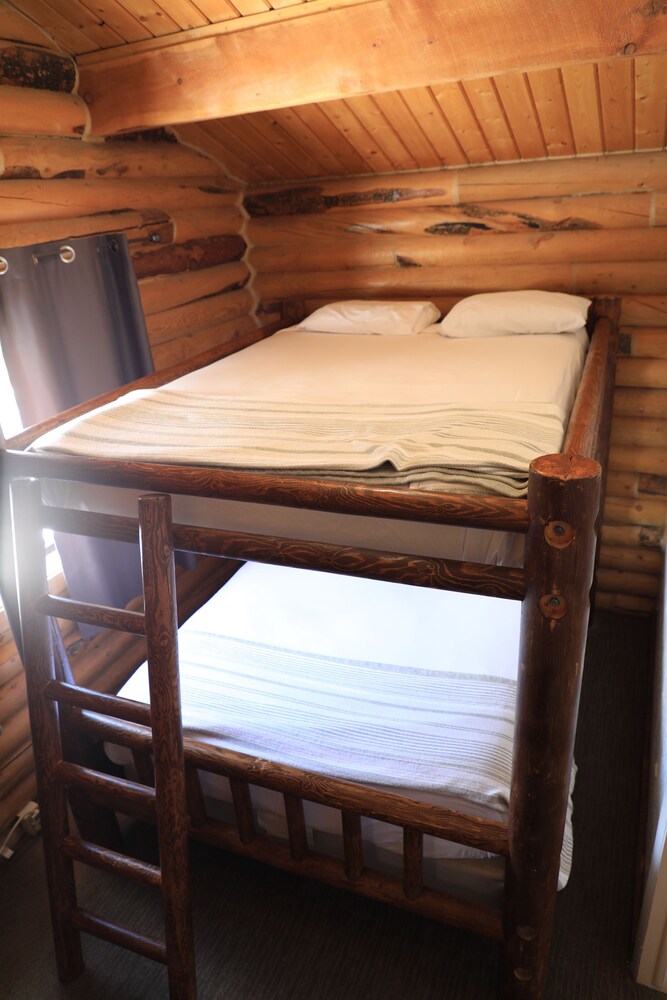 Cabin suite (Queen Bunk) - Room
