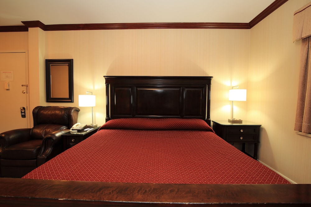 Penthouse Studio with King Bed - Guestroom