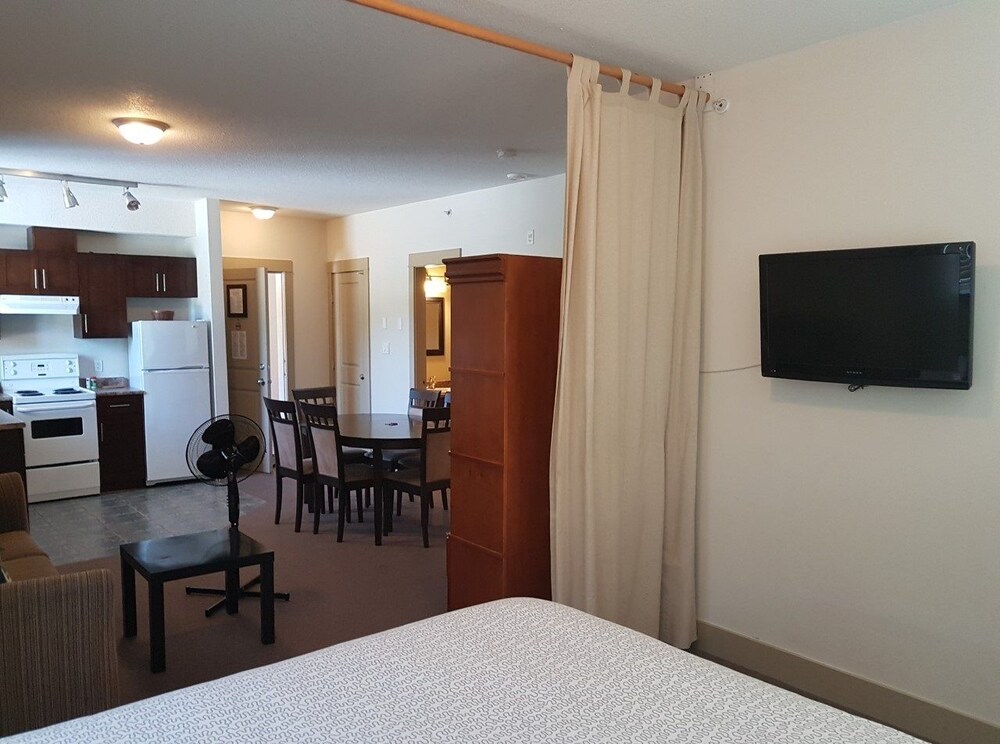 Two Room Studio - Living Area