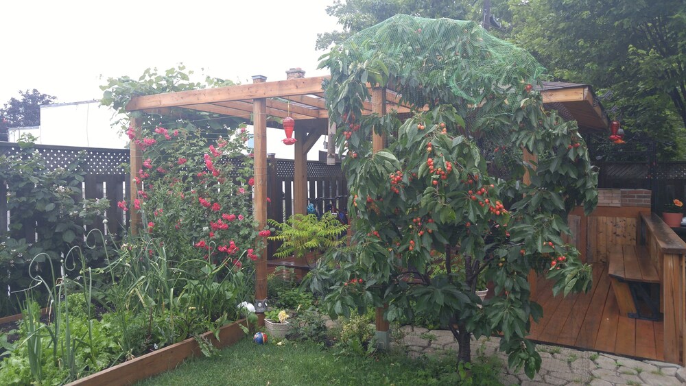 Gazebo