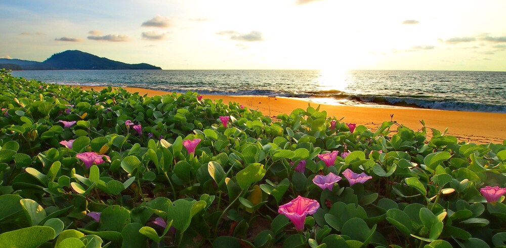 해변