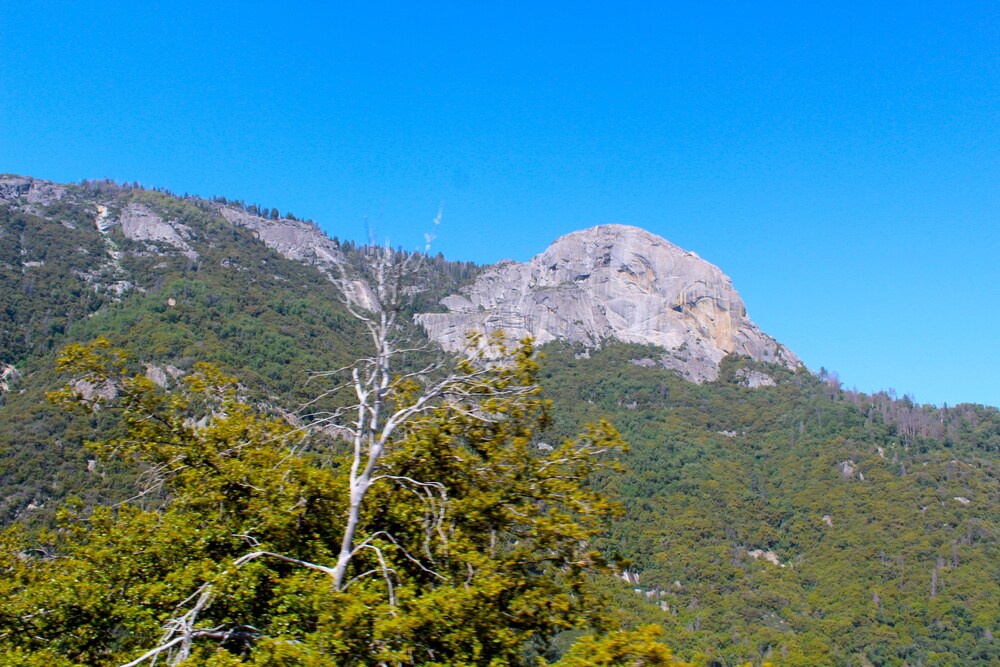 Hiking