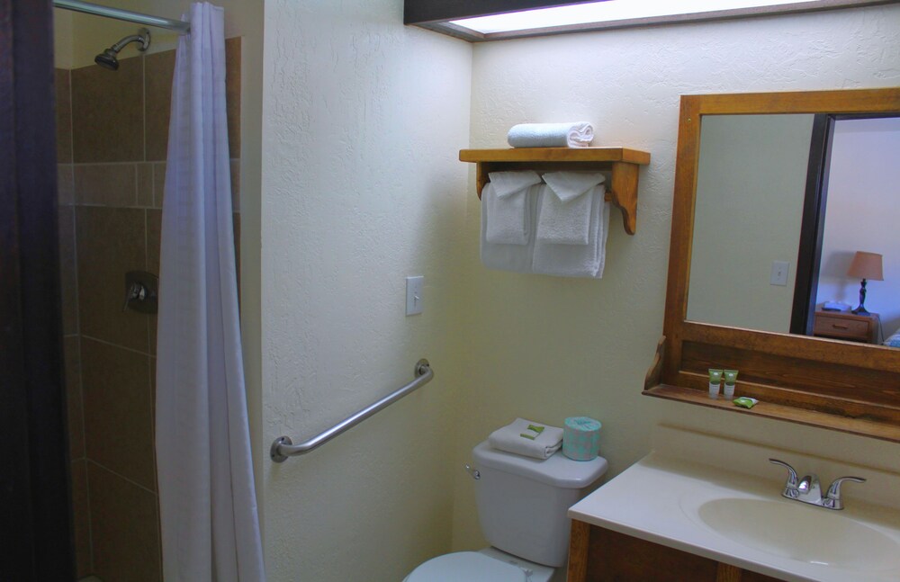 Standard Room - Bathroom