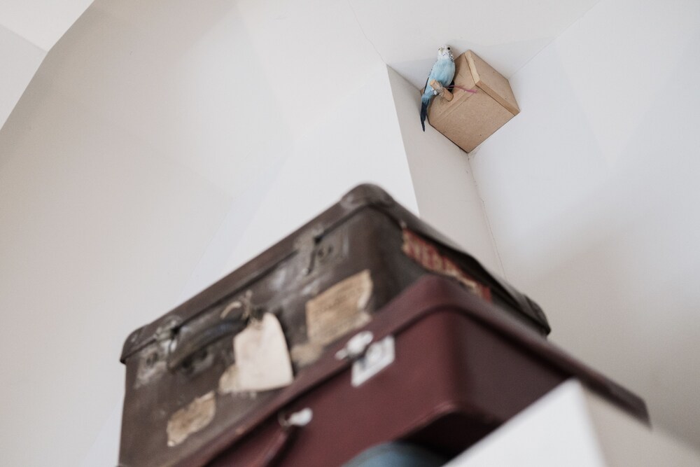 Guestroom