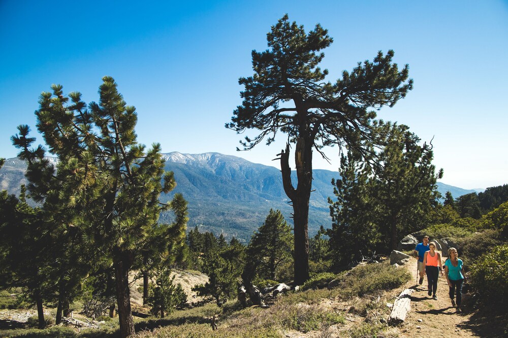 Hiking