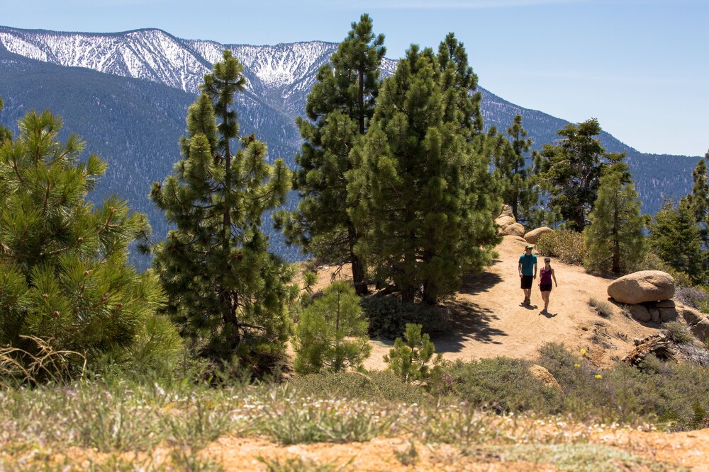 Hiking