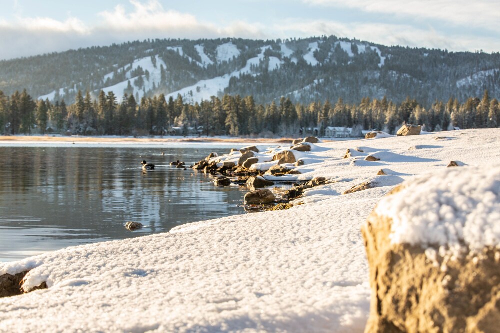 Lake