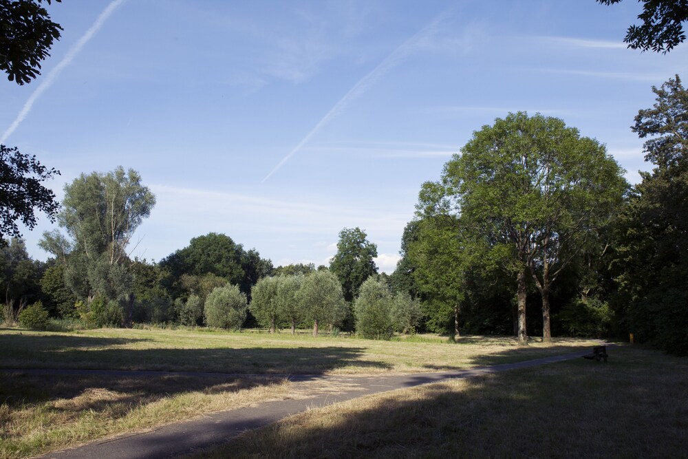 Wandelen