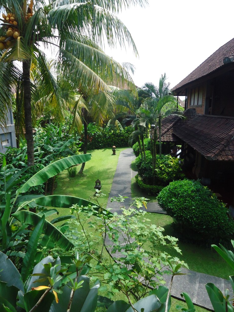 Guestroom View