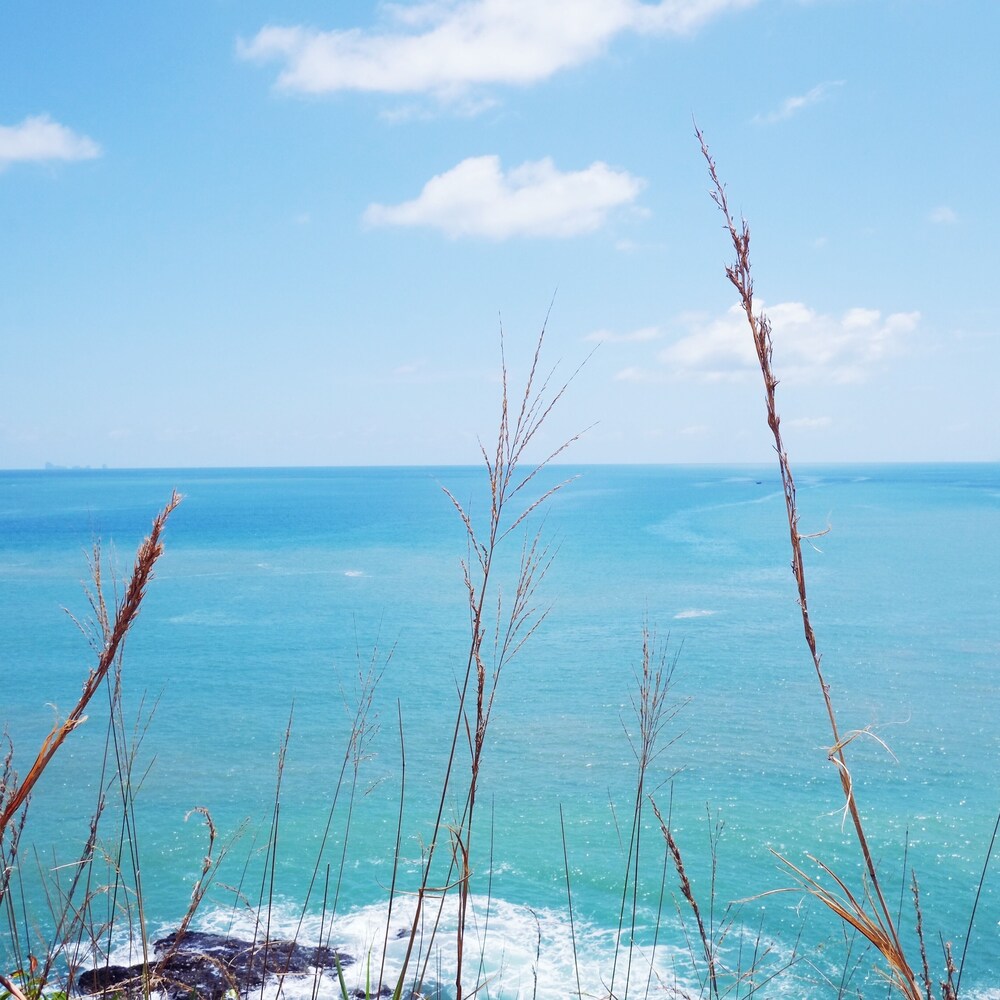 해변