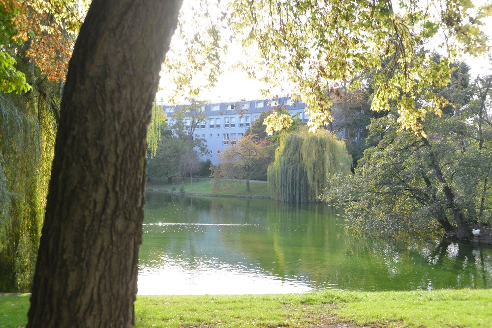 Seeblick