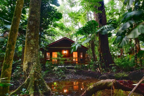 Cape Tribulation Beach House