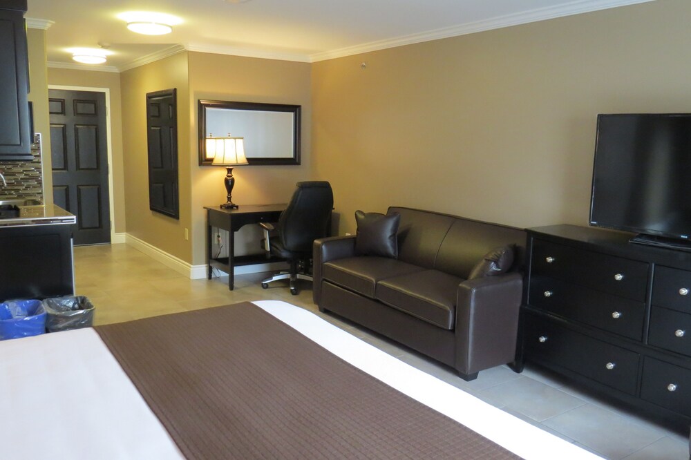 거실 공간 (Superior Suite, 1 King bed with Sofa Bed)