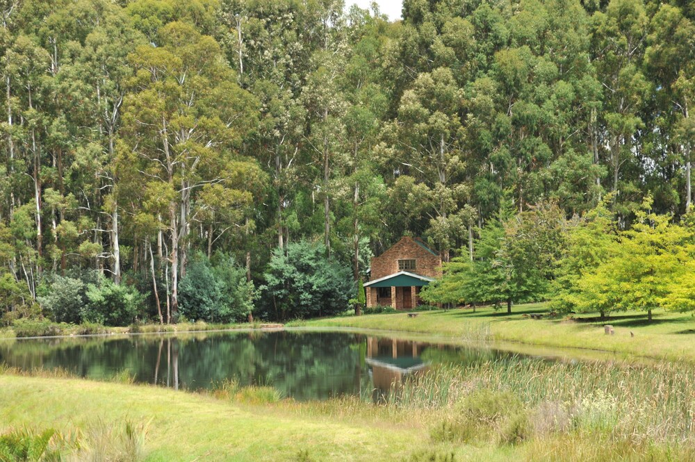 Lake