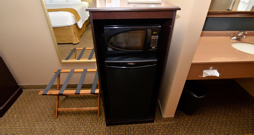 Mini-Refrigerator