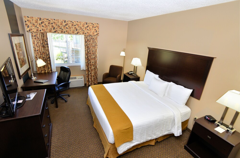 Guestroom View
