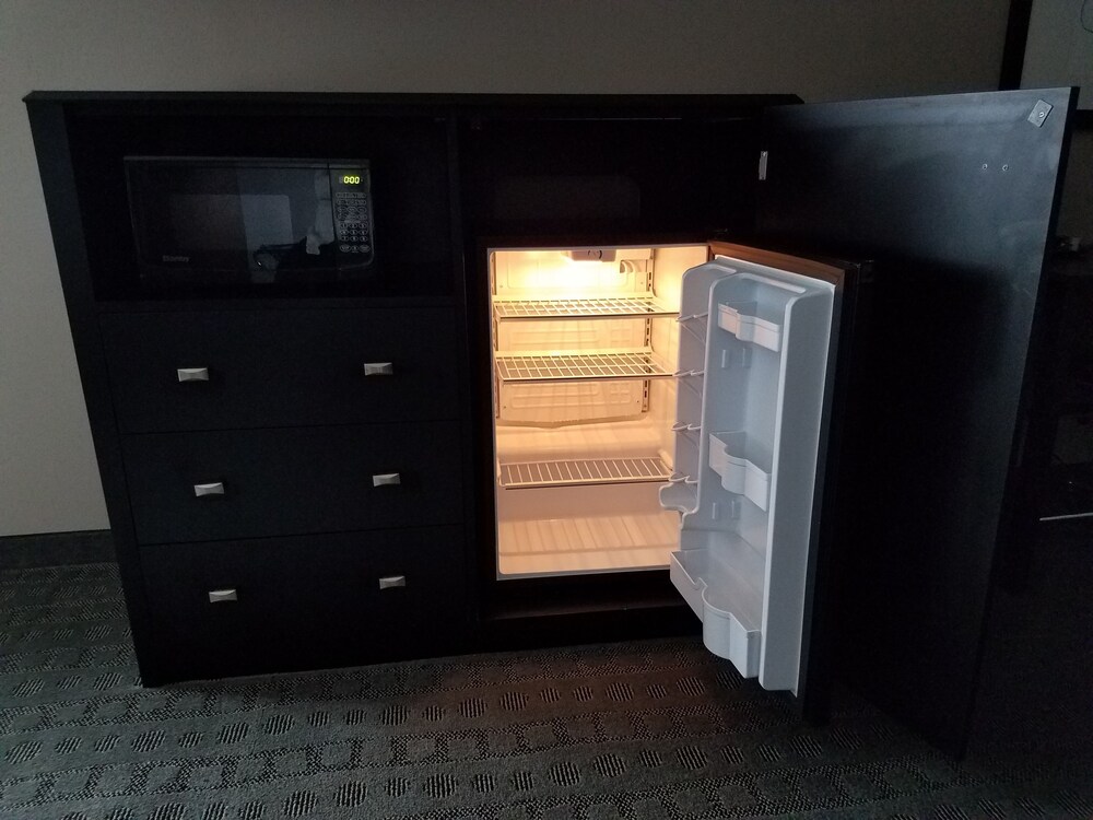 Mini-Refrigerator