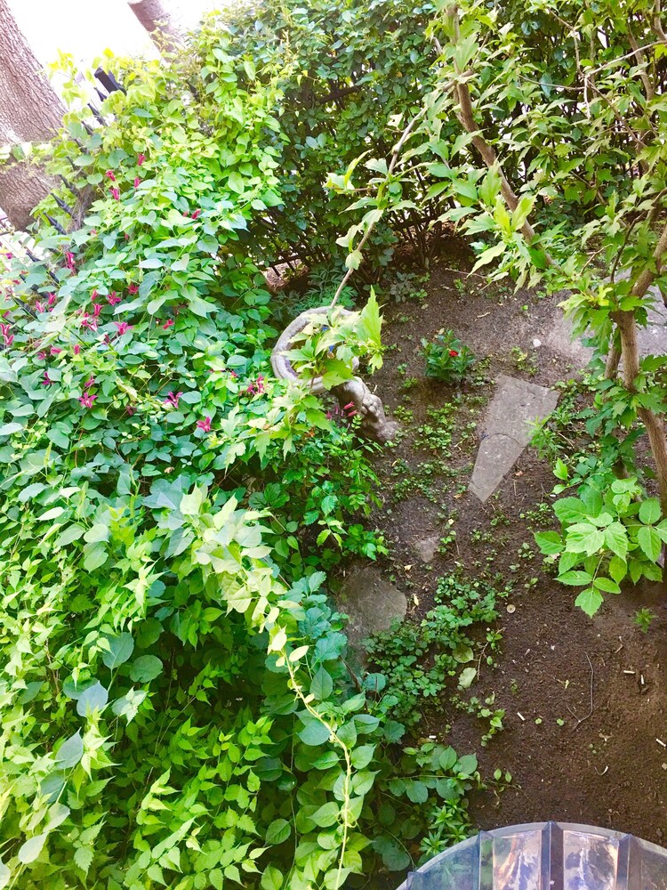 정원