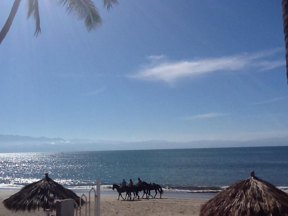 Beach/Ocean View
