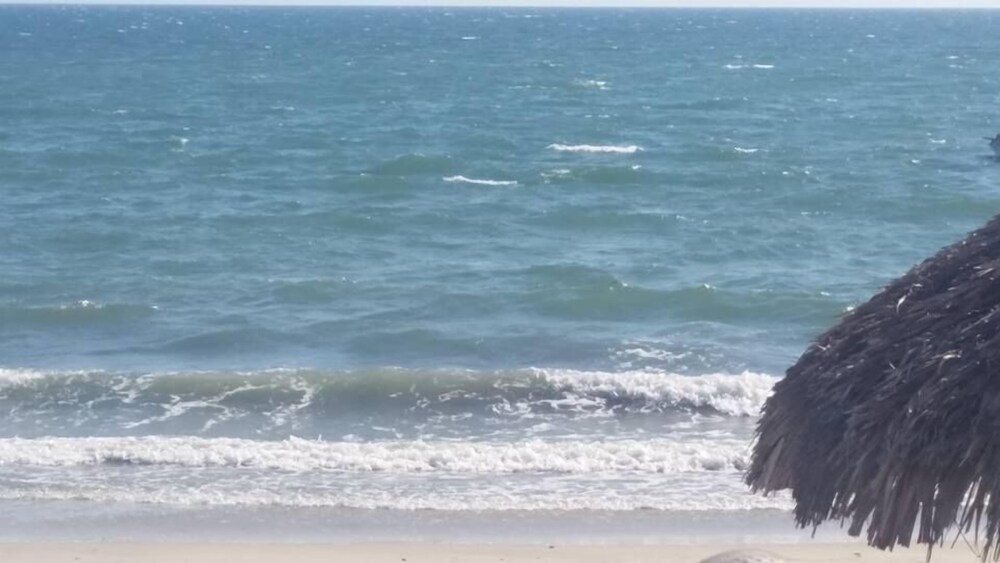 Beach/Ocean View