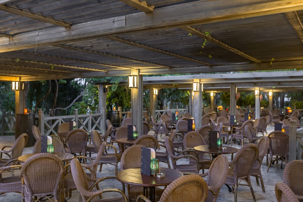 Bar (on property), Royal Wings Hotel - All Inclusive