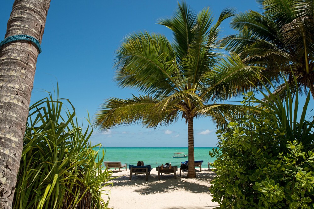 Beach/Ocean View